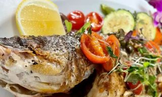 Sofia's of Little Italy