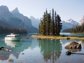 5.5-Hour Jasper Wildlife and Waterfalls Tour with Maligne Lake Cruise from Jasper