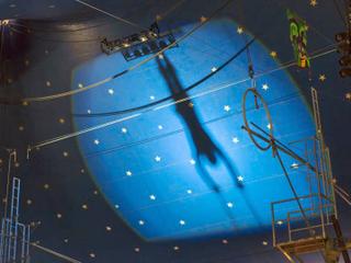 Cirque du Soleil: Drawn to Life