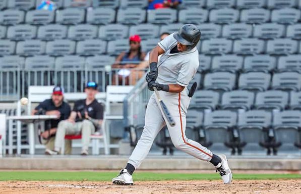 Fredericksburg Nationals at Delmarva Shorebirds