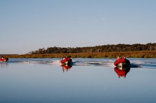 Hilton Head Sunset Dolphin and Sightseeing Tour via Mini Boat