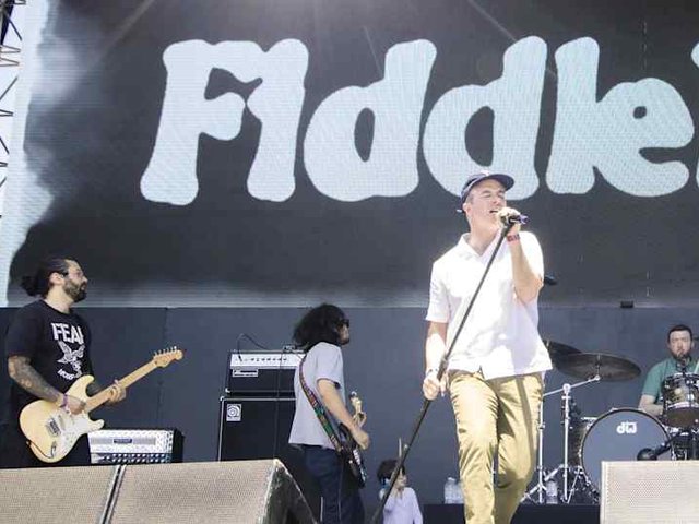 Fiddlehead