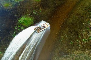 60 min. Everglades Airboat ride & pick-up ,small group +pro guide