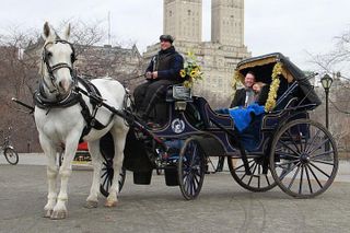 Official NYC Horse Carriage Rides in Central Park since 1979 ™