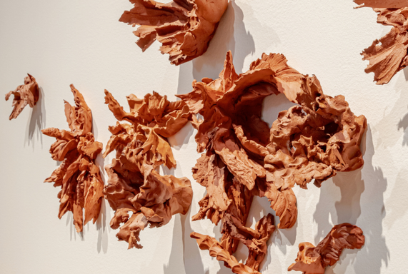 David Constantino Salazar: Forever (Bird-Botanicals)