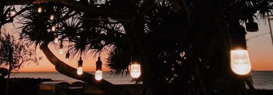 Coffee Cat on Kings Beach