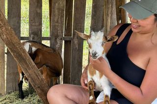 Baby Goat Cuddling at Ohana Ranch (Big Island)