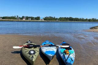 Shark Tooth Island Tour