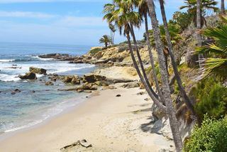 Whale-Watching and Orange County Beaches Tour from Anaheim