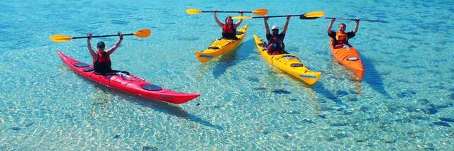 Animal Camp Jamaica