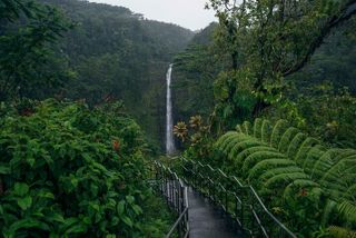 Akaka Falls Tour - Volcanoes National Park and Hilo Discovery