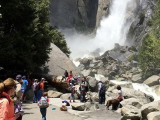 Small Group Yosemite and Giant Sequoias Day Trip from San Francisco