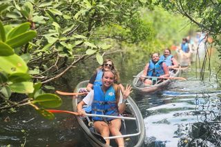 2 Hour Clear Kayak Mangrove Tunnel Eco Tour - Sarasota