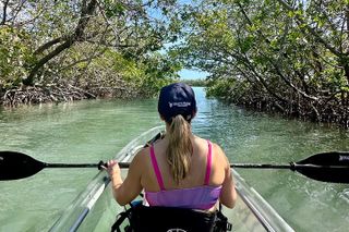 Sarasota Clear Kayak Tour