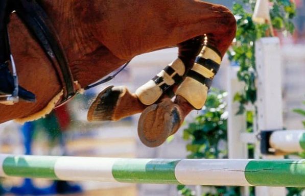 HEP Canadian Show Jumping Championship/Mad Barn Indoor Eventing