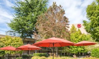 Harold's Kitchen & Bar - Sheraton Vancouver Airport
