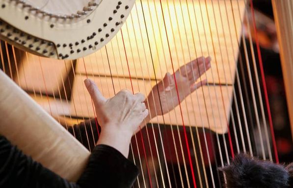 Fabulous Equinox Orchestra