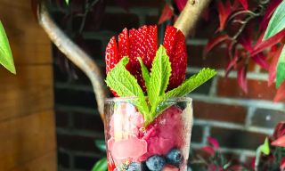 Oswego Grill - Kruse Way