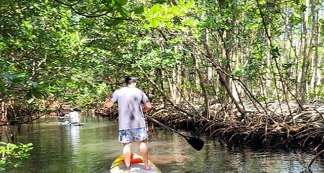 Nature Stand Up Paddle Boarding Experience, Miami
