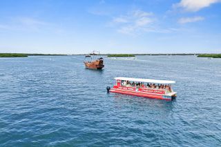 Dolphin Watching/Eco Cruise, John's Pass, Madeira Bch, FL