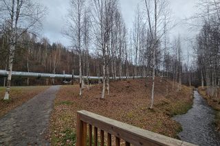 Heart of Fairbanks Tour Culture, History and Fun