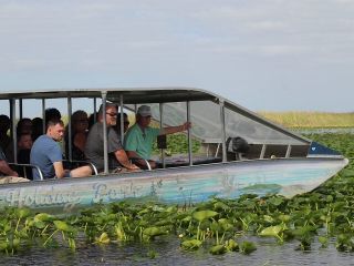 Everglades Tour from Miami with Transportation