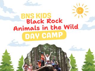 Animals in the Wild - Day Camp
