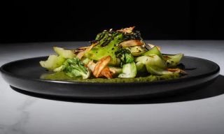 Lamp & Shade Craft Kitchen and Cocktails