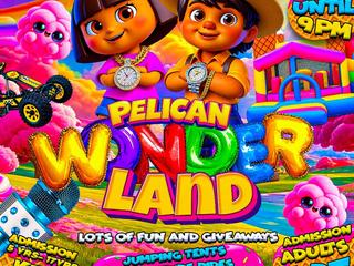 Pelican Wonderland