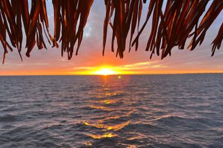 Sunset Tiki Boat Cruise (BYOB)