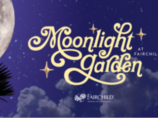 Moonlight at Fairchild