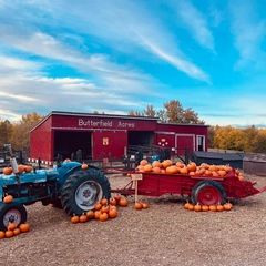 Butterfield Acres Harvest Pumpkin Festival