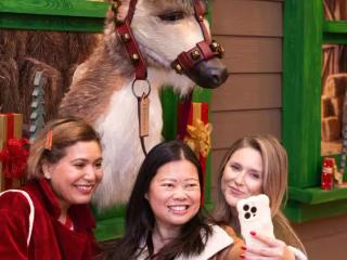 MarketFair's Merry Reindeer Stable