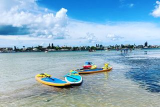 Half Day Kayak Rental to John's Pass Sandbar & Mangrove Tunnel