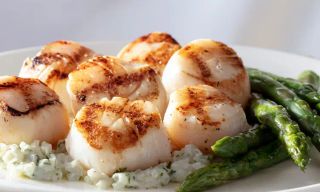 Seasons 52 - Indianapolis