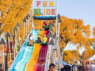 Fall Fest at Lincoln Park Zoo