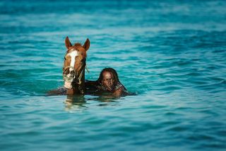 See the Barbados Swimming Horses + Exclusive Stables Access