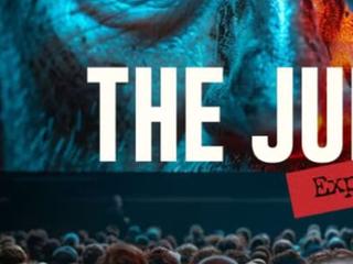 The Jury Experience