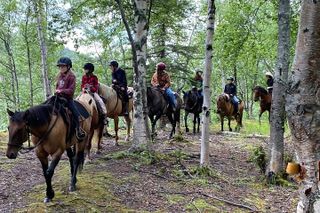 1.5 Hour Trail Ride on a working ranch in the Alaskan Mountains
