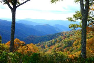 Fall Color Quest: Smoky Mountain Fall Foliage Hike