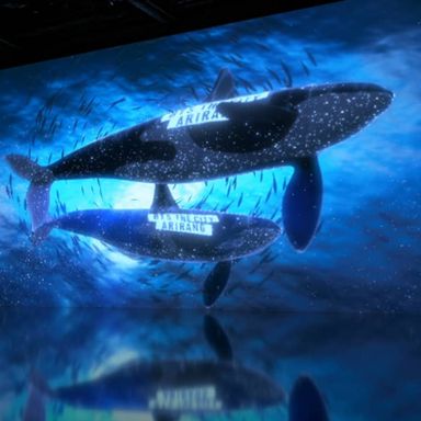 ARTE MUSEUM: An Immersive Media Art Exhibition New York