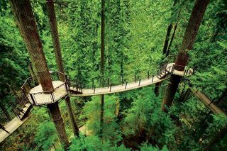Vancouver: Capilano Suspension Bridge & Grouse Mountain Tour