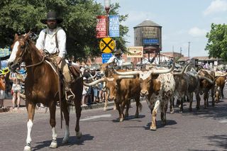 Best of Fort Worth from Dallas Or Fort Worth