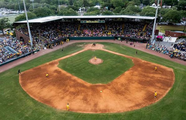 The Visitors at Savannah Bananas