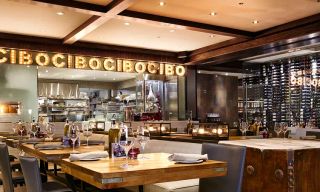 Cibo Wine Bar - Yorkville