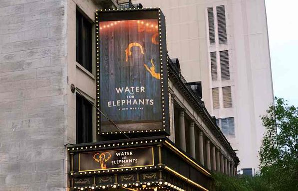 Water For Elephants