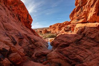 The Ultimate Red Rock Canyon Scenic Experience