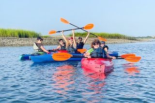 2 Hour Kayak Hilton Head Dolphin and Nature Tour