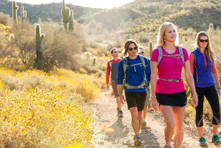 Sonoran Desert Guided Hike