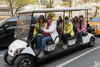 New York City's History & Landmarks Guided City Tour by E-Cart